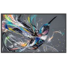 Monitor Philips 65BDL3550Q Signage Display...