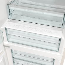 Külmik GORENJE ONRK619DC-L, fridge/freezer...