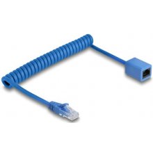DeLOCK 90365 networking cable Blue 1.2 m...