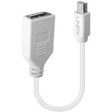 Lindy 0.20m Mini DisplayPort to DisplayPort...