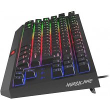 Клавиатура NATEC Keyboard Fury Hurricane TKL...