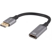 Lanberg AD-DP-HD-04 video cable adapter 0.2...