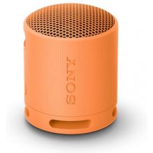 SONY SRS-XB100 - Wireless Bluetooth Portable...