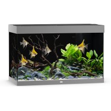 Juwel Akvaarium Rio LED 290 L hall