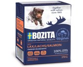 BOZITA BIG - Salmon - 370g (wheat free)