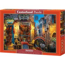 Castorland Puzzle 3000 pcs Unique place in...