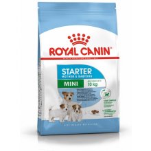 Royal Canin Mini Starter 8kg (SHN)