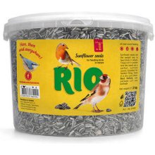 Mealberry RIO Sunflower seed - saulespuķu...