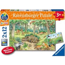 Ravensburger Why? For what reason? Why?...