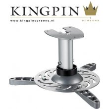 Kingpin Screens Vertical Projector Mount