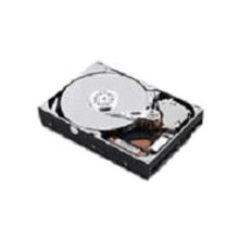 LENOVO 500GB 3.5" SATA II internal hard...