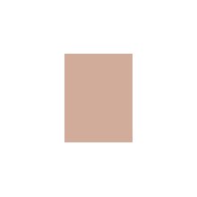 BOURJOIS Paris Bronzer 001 Light Medium 7g -...