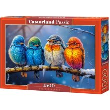 Castor Puzzles 1500 elements Birds Together...