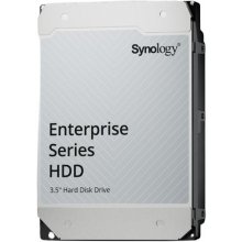 Жёсткий диск Synology HAS5310-20T internal...