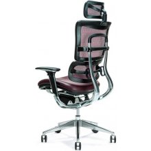 BEMONDI Ergonomic office chair ERGO 800 plum