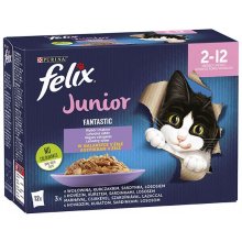 Purina Felix Fantastic jelly food for...