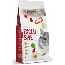 Alegia Exclusive Chinchilla - chinchilla...