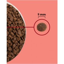 Acana Highest Protein Indoor Cat - dry cat...