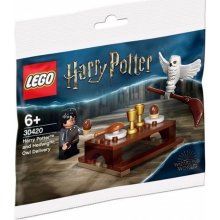 Lego Bricks Harry Potter and Hedwig Owl...