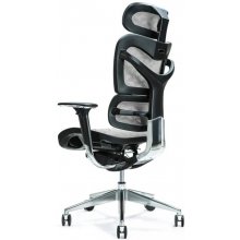 BEMONDI Ergonomic office chair ERGO 700 grey