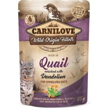 CARNILOVE - Cat - Quail & Dandelion - Gravy...