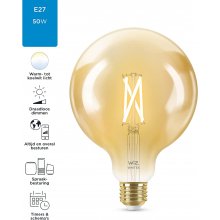 WiZ Filament Bulb Amber 50 W G125 E27
