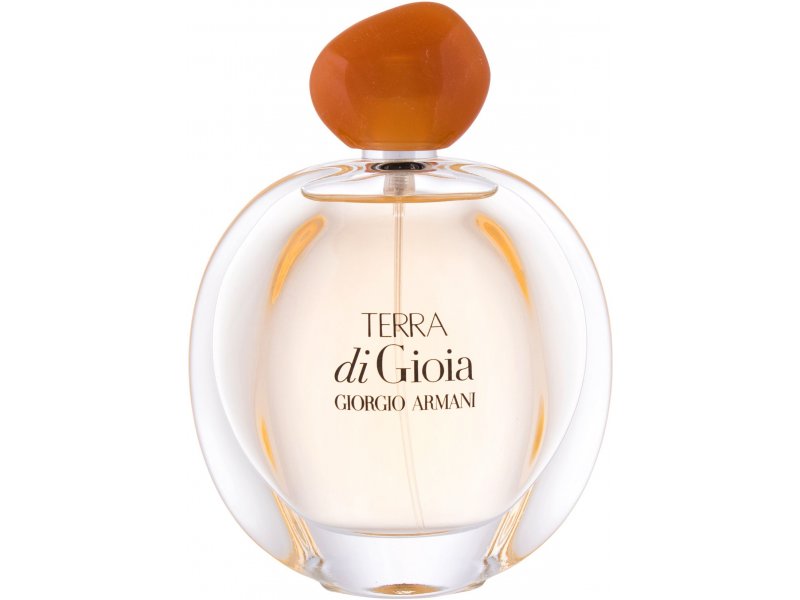 GIORGIO ARMANI Terra di Gioia 100ml - Eau de Parfum for Women 