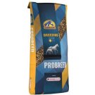Dry food for horses
