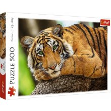 TREFL Puzzles 500 elements Tiger portrait