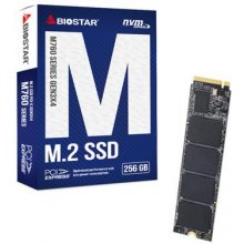 Biostar M760 256 GB M.2 PCI Express 4.0 NVMe