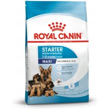 Royal Canin Maxi Starter 15kg (SHN)