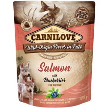 CARNILOVE Dog Pouch Salmon & blueberries...