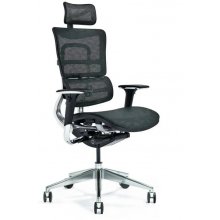 BEMONDI Ergonomic office chair ERGO 800-M...