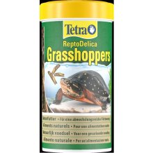 TETRA REPTIILIDE TÄIENDSÖÖT REPTODELICA...