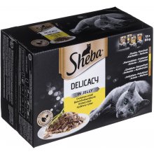 Sheba - Delicacy - Cat - Chicken Flavors in...