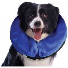 KONG Cloud Medium - collar for dogs