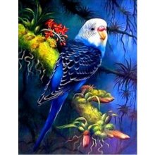 NORIMPEX Diamond mosaic - Parrot