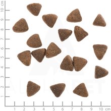 WOLFSBLUT Wide Plain Light Horse with sweet...