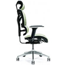 BEMONDI Ergonomic office chair ERGO 600...