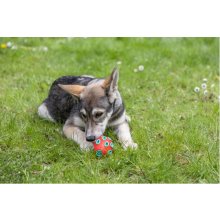 KERBL Rugby ToyFastic - Dog toy - 12cm