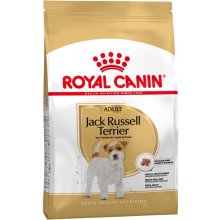 Royal Canin Jack Russell Adult 0,5kg (BHN)
