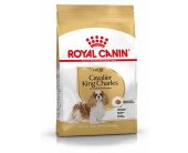 Royal Canin - Dog - Cavalier King Charles -...