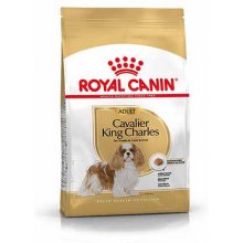 Royal Canin Dog Food SHN Breed Cavalier K C...