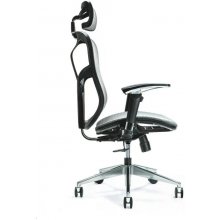 BEMONDI Ergonomic office chair ERGO 500 grey