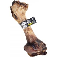 Bult Front beef bone - dog treat - 1pcs