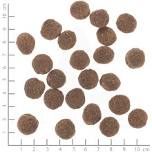 WOLFSBLUT VetLine Hypoallergenic Horse with...