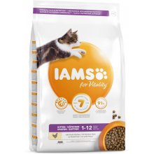 Iams Complete dry feed CAT Kitten 3kg for...