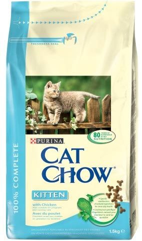 Cat on sale chow kitten