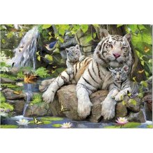 Educa Puzzle 1000 elements, Bengalt Tigers