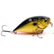 Strike Pro Strike-Pro EG-185F#613T...